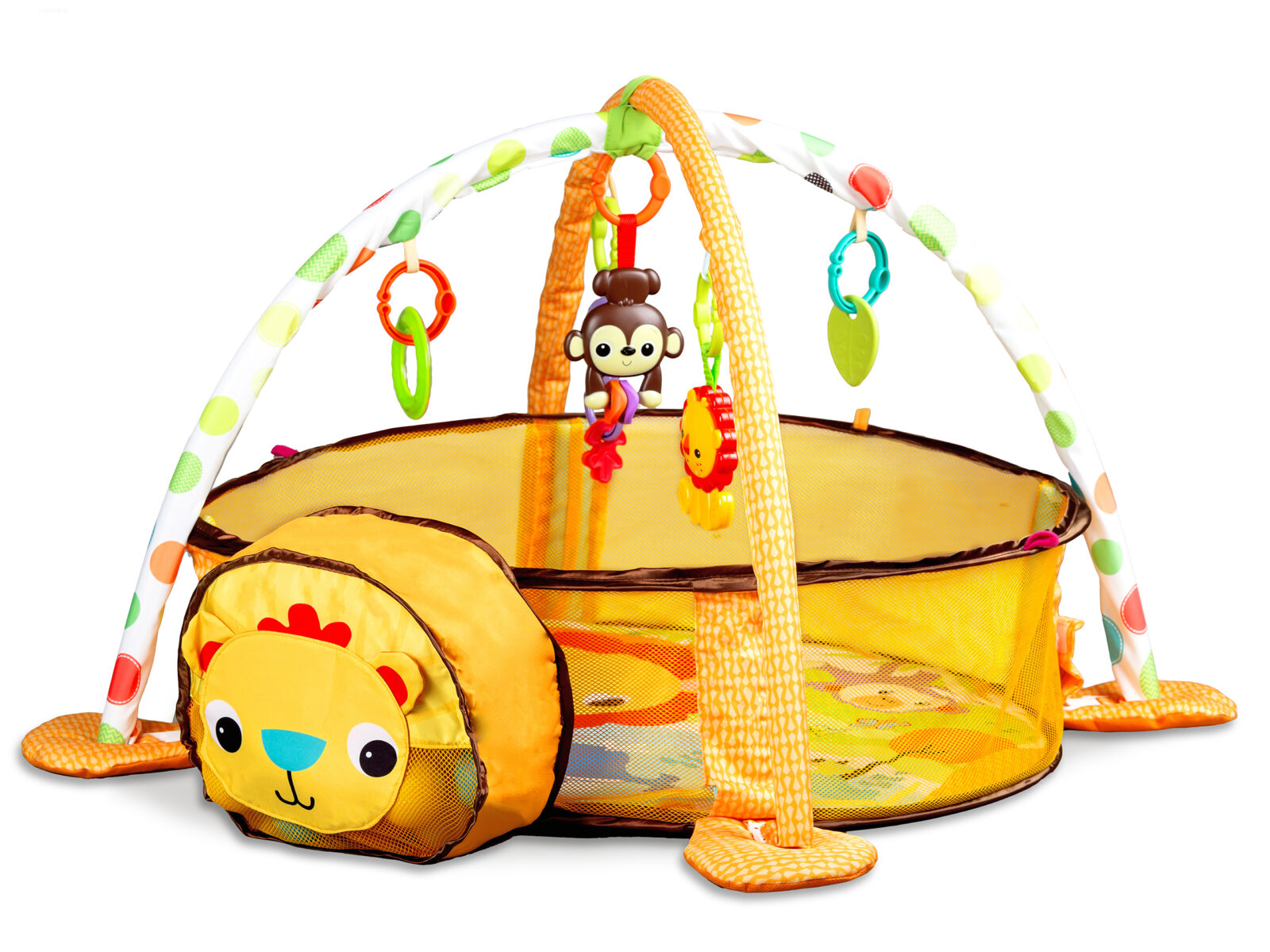 Mata edukacyjna interaktywna Lew - obrazek 5